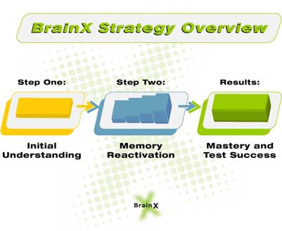 BrainX Strategy Overview