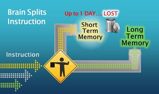 Short term memory   Lost