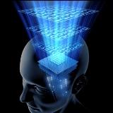 BrainX