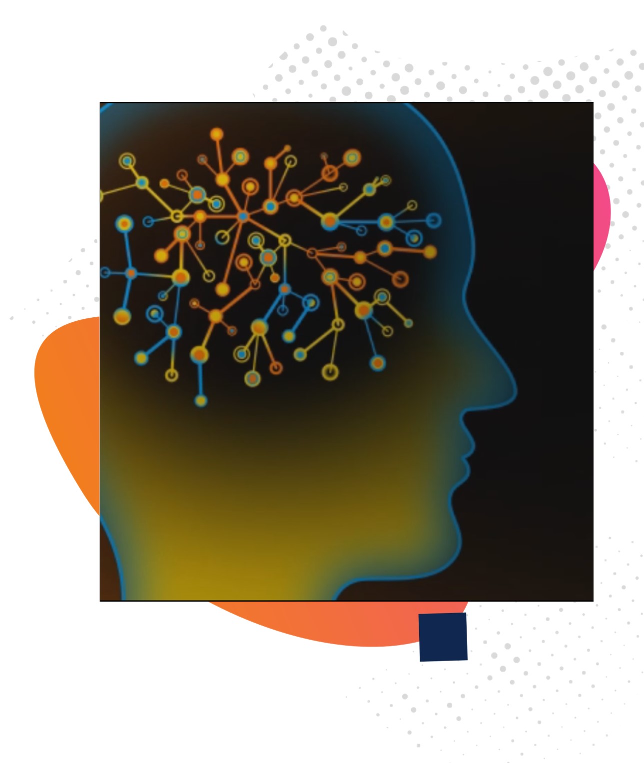 BrainX Brain Connections BrainX Brain Connections